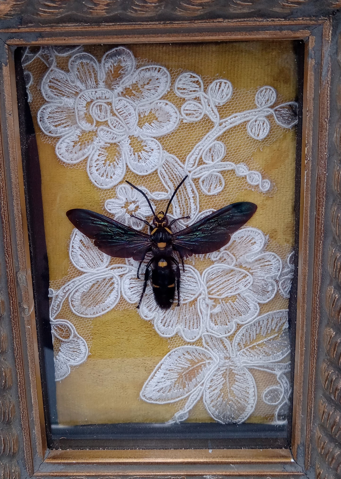 Giant Wasp Framed