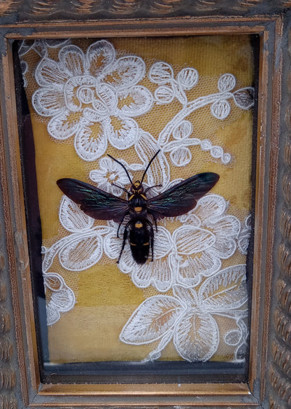 Giant Wasp Framed