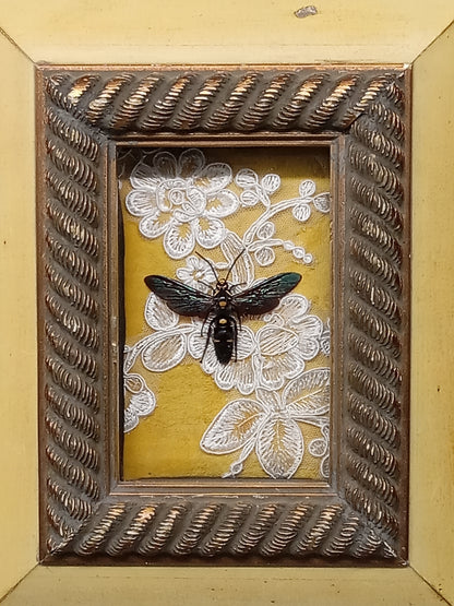 Giant Wasp Framed