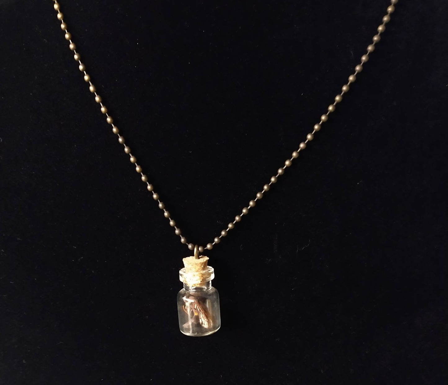 Wasp Jar Necklace